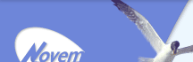 Logo Novem